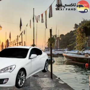 سائق عربي في بورتوفينو