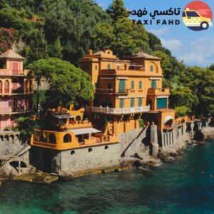 سائق عربي في بورتوفينو
