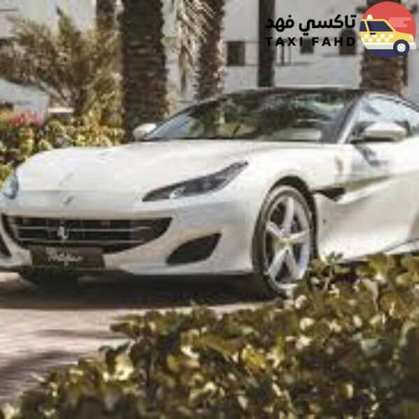 سائق عربي في فينيسيا البندقية