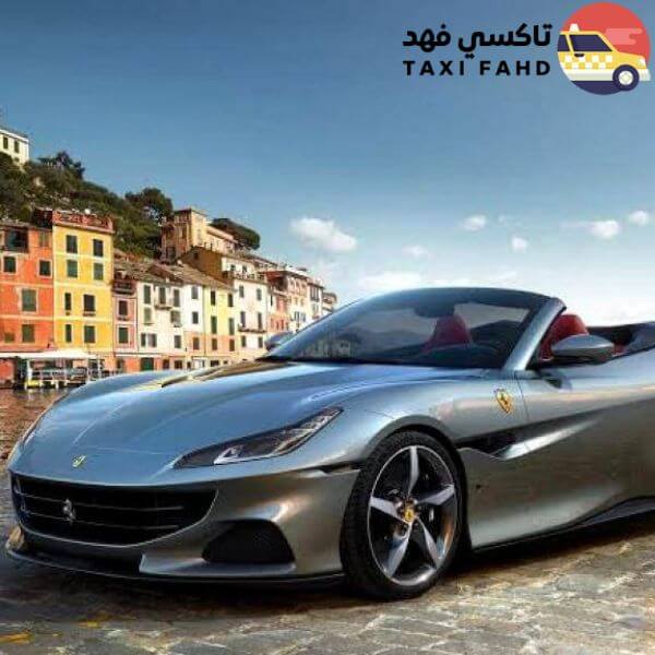سائق عربي في بورتوفينو مع خدمات تاكسي فهد في إيطاليا