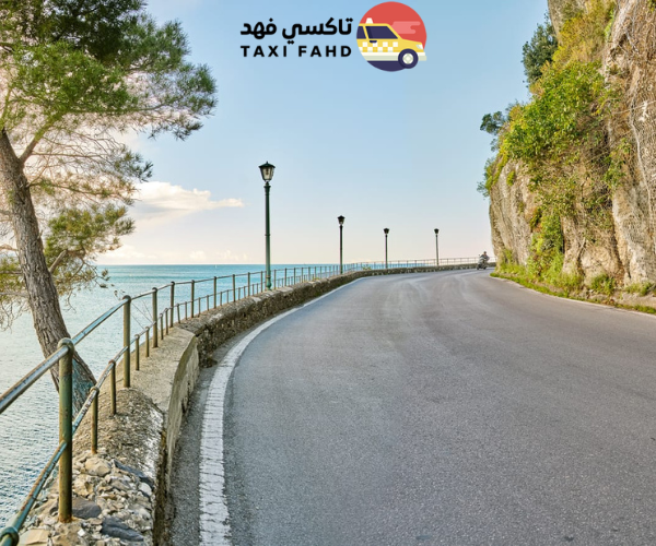 سائق في بورتوفينو
