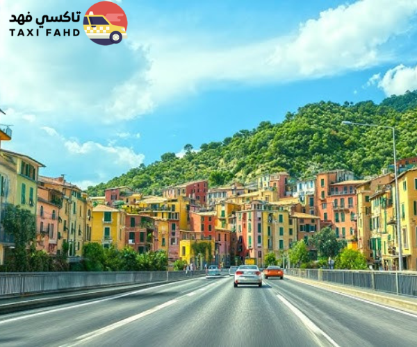 سائق في بورتوفينو