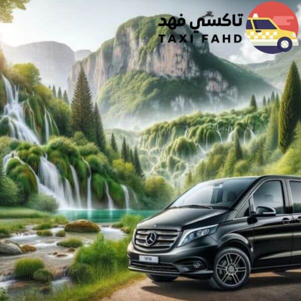 سائق خاص فوري